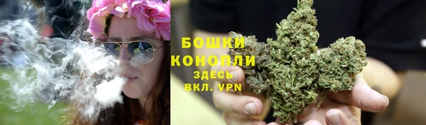 СК Тихвин