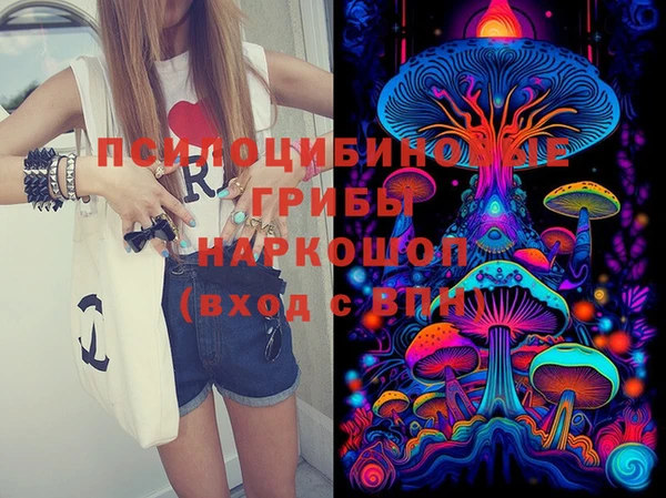 дурь Тобольск
