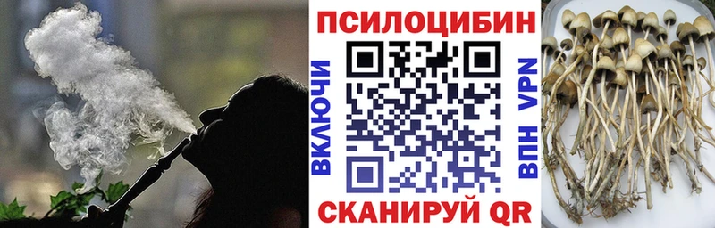 Галлюциногенные грибы прущие грибы  Купить где  Бугуруслан 
