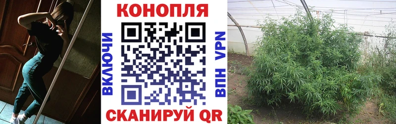 Купить  Бугуруслан  Конопля гибрид 